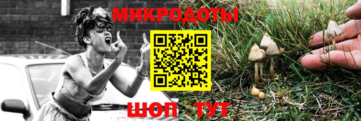 Томск  Галлюциногенные грибы Psilocybe  магазин продажи   Вход с VPN  Галлюциногенные грибы Psilocybe 
