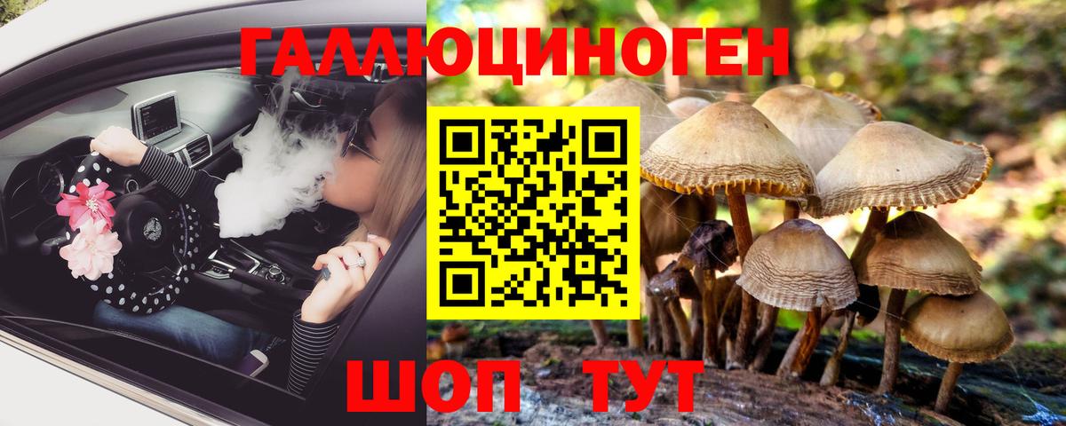 Галлюциногенные грибы прущие грибы Томск